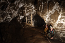 Thumbnail of photo from this article